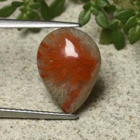 Coral Multicolorido Natural 3.31ct, Formato de pêra, Opaco