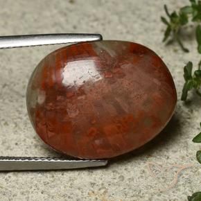 Coral Multicolorido Natural 14.74ct, oval, Opaco