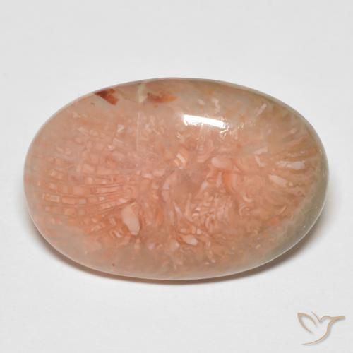 11.50ct Natural Multicolorido Coral, oval, Translúcido
