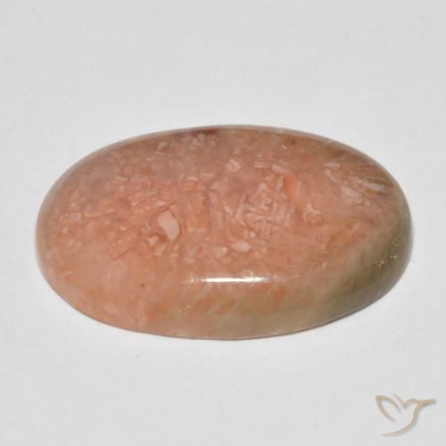 Coral Multicolorido Natural 11.50ct, oval, Translúcido