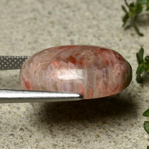 Coral multicolorido natural 10,62ct, corte oval, opaco