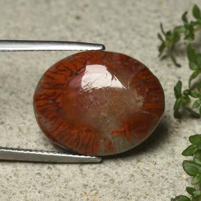 Coral multicolorido natural 12,59ct, corte oval, opaco
