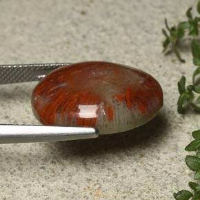 Coral multicolorido natural 12,59ct, corte oval, opaco