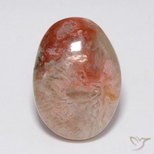 8.90ct Natural Multicolorido Coral, oval, Opaco