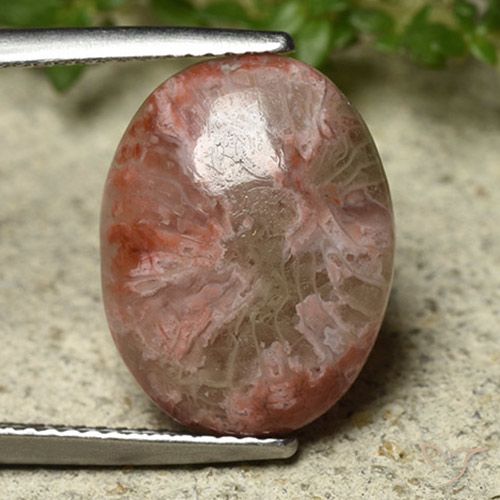 6.22ct Natural Multicolorido Coral, oval, Opaco
