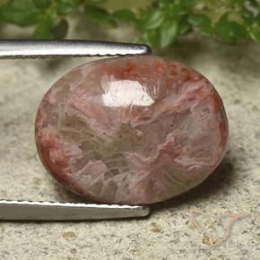 Coral Multicolorido Natural 6.22ct, oval, Opaco