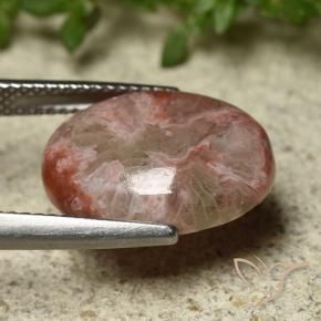 Coral Multicolorido Natural 6.22ct, oval, Opaco