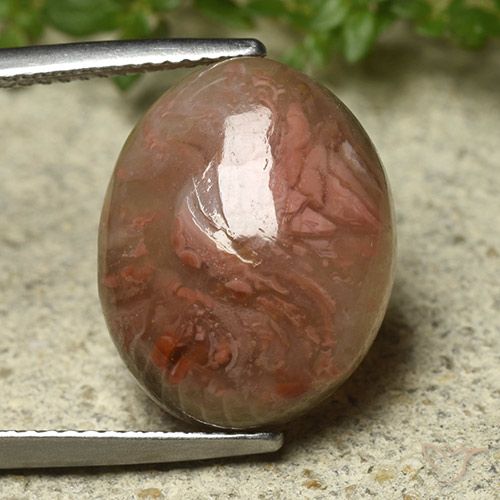 9.92ct Natural Multicolorido Coral, oval, Translúcido