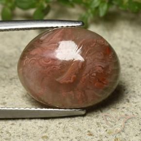 Coral Multicolorido Natural 9.92ct, oval, Translúcido