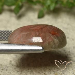 Coral Multicolorido Natural 9.92ct, oval, Translúcido