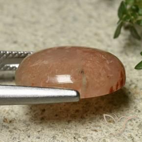 Coral Multicolorido Natural 7.45ct, oval, Translúcido