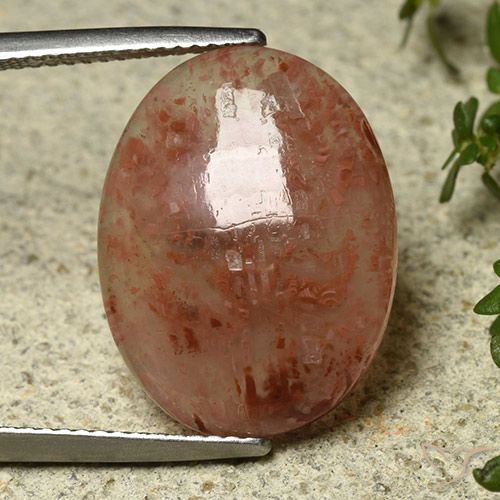 9.08ct Natural Multicolorido Coral, oval, Translúcido