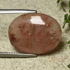 Coral Multicolorido Natural 9.08ct, oval, Translúcido