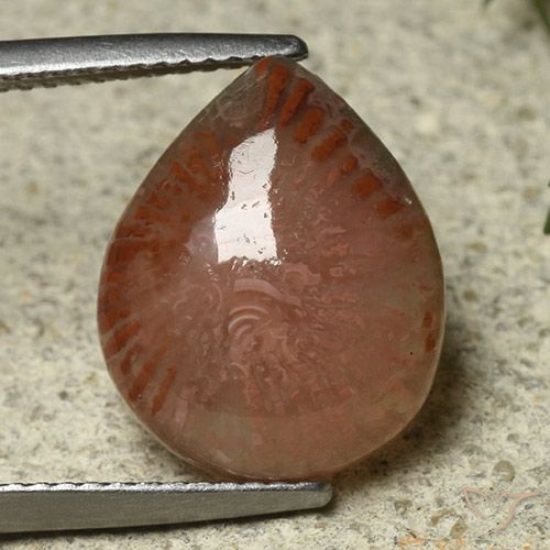 6.87ct Natural Multicolorido Coral, Formato de pêra, Translúcido