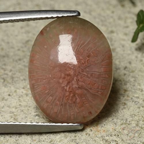 7.81ct Natural Multicolorido Coral, oval, Translúcido