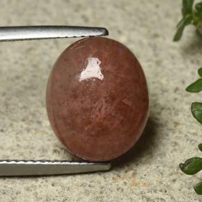 Coral Multicolorido Natural 6.35ct, Corte Oval, Translúcido