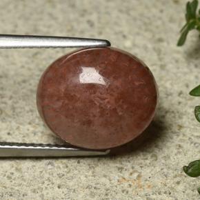 Coral Multicolorido Natural 6.35ct, Corte Oval, Translúcido