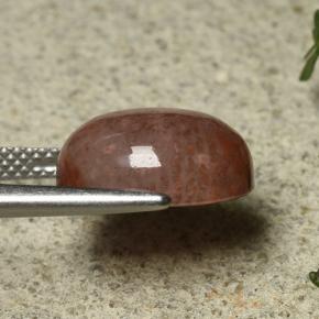 Coral Multicolorido Natural 6.35ct, Corte Oval, Translúcido