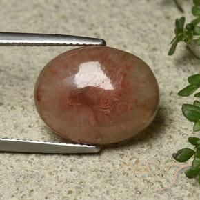 Coral Multicolorido Natural 8.30ct, oval, Translúcido