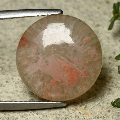 8.34ct Natural Multicolorido Coral, Redondo, Translúcido