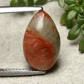 Coral Multicolorido Natural 4.83ct, Formato de pêra, Translúcido