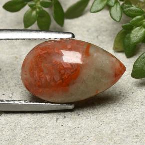 Coral Multicolorido Natural 4.83ct, Formato de pêra, Translúcido