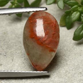 Coral Multicolorido Natural 4.83ct, Formato de pêra, Translúcido