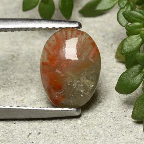 Coral multicolorido natural 1,88ct, corte oval, translúcido