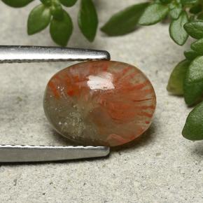 Coral multicolorido natural 1,88ct, corte oval, translúcido