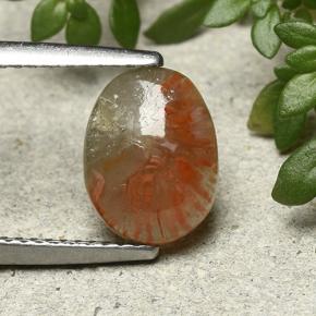Coral multicolorido natural 1,88ct, corte oval, translúcido