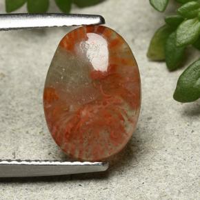 Coral multicolorido natural 2,54ct, corte oval, translúcido