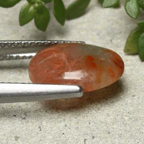 Coral multicolorido natural 2,54ct, corte oval, translúcido
