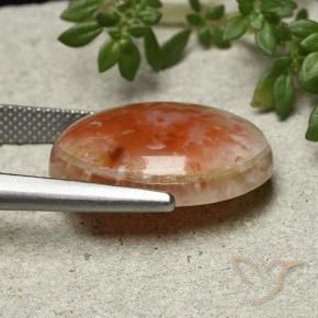 Coral Multicolorido Natural 13.21ct, oval, Opaco