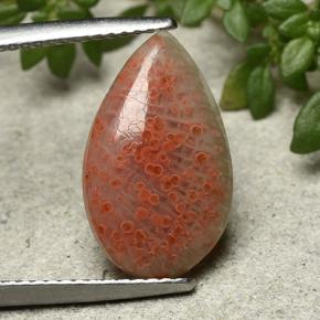 Coral multicolorido natural 3,94ct, formato de pêra, translúcido