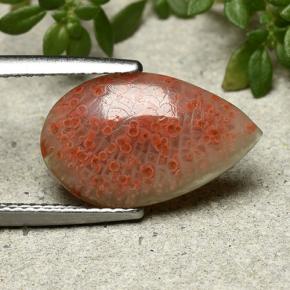 Coral multicolorido natural 3,94ct, formato de pêra, translúcido