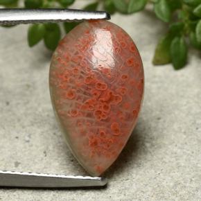 Coral multicolorido natural 3,94ct, formato de pêra, translúcido