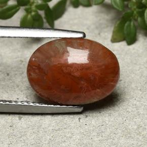 Coral Multicolorido Natural 4.35ct, Corte Oval, Translúcido