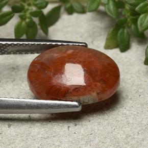 Coral Multicolorido Natural 4.35ct, Corte Oval, Translúcido