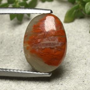 Coral multicolorido natural 3,86ct, corte oval, opaco