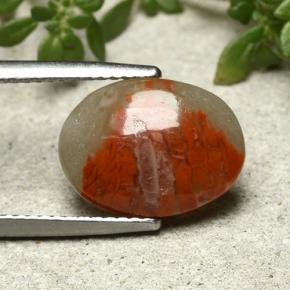 Coral multicolorido natural 3,86ct, corte oval, opaco