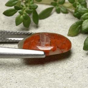 Coral multicolorido natural 3,86ct, corte oval, opaco