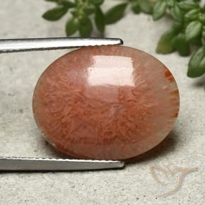 Coral Multicolorido Natural 9.51ct, oval, Translúcido