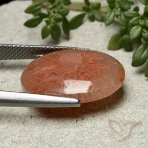 Coral Multicolorido Natural 9.51ct, oval, Translúcido