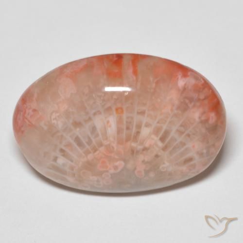 11.96ct Natural Multicolorido Coral, oval, Opaco
