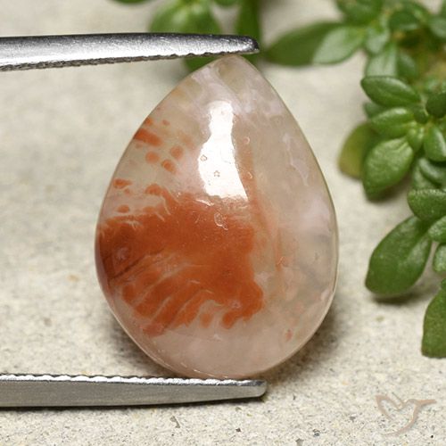 6.43ct Natural Multicolorido Coral, Formato de pêra, Translúcido