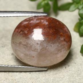 Coral multicolorido natural 12,54ct, corte oval, translúcido