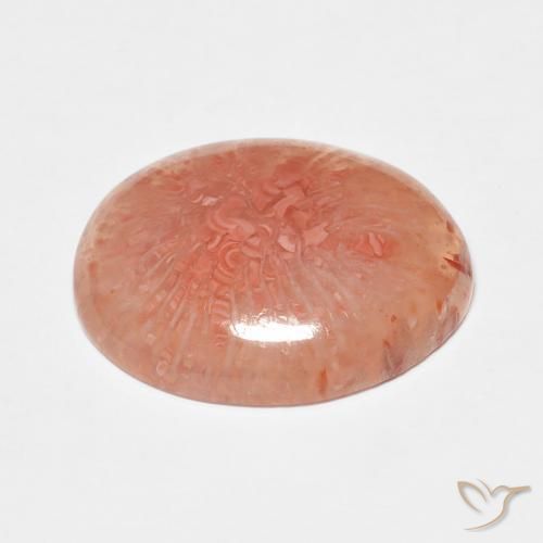 Coral Multicolorido Natural 7.43ct, oval, Translúcido