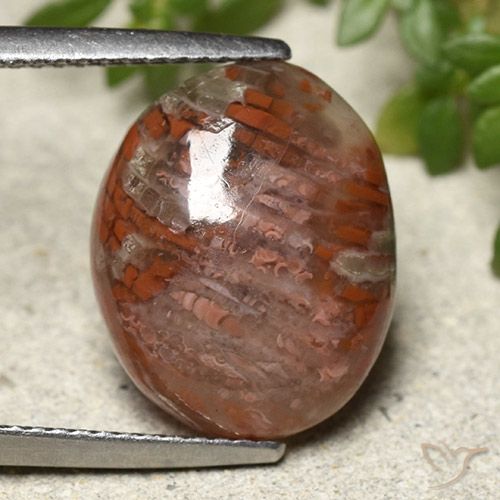 7.28ct Natural Multicolorido Coral, oval, Translúcido
