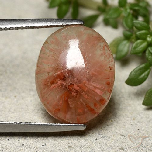 7.91ct Natural Multicolorido Coral, oval, Translúcido