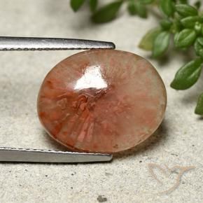 Coral Multicolorido Natural 7.91ct, oval, Translúcido
